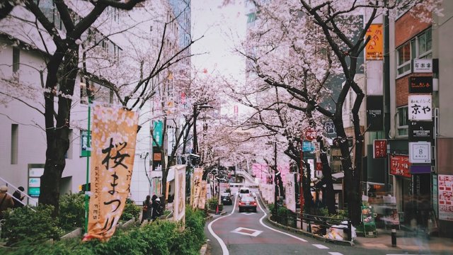 A bold, colorful look at the Shibuya Scramble Crossing